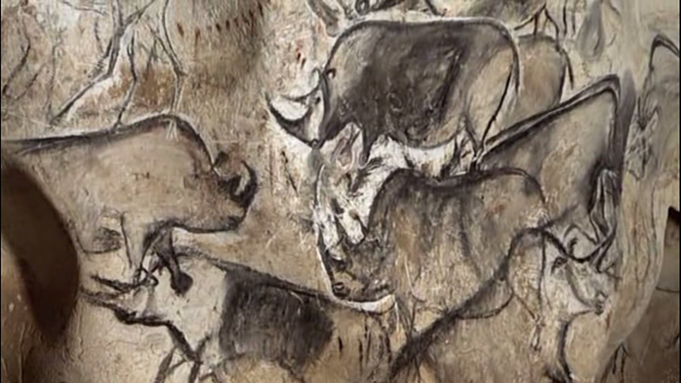 Peintures rupestres de rhinocéros laineux dans la grotte Chauvet, Ardèche