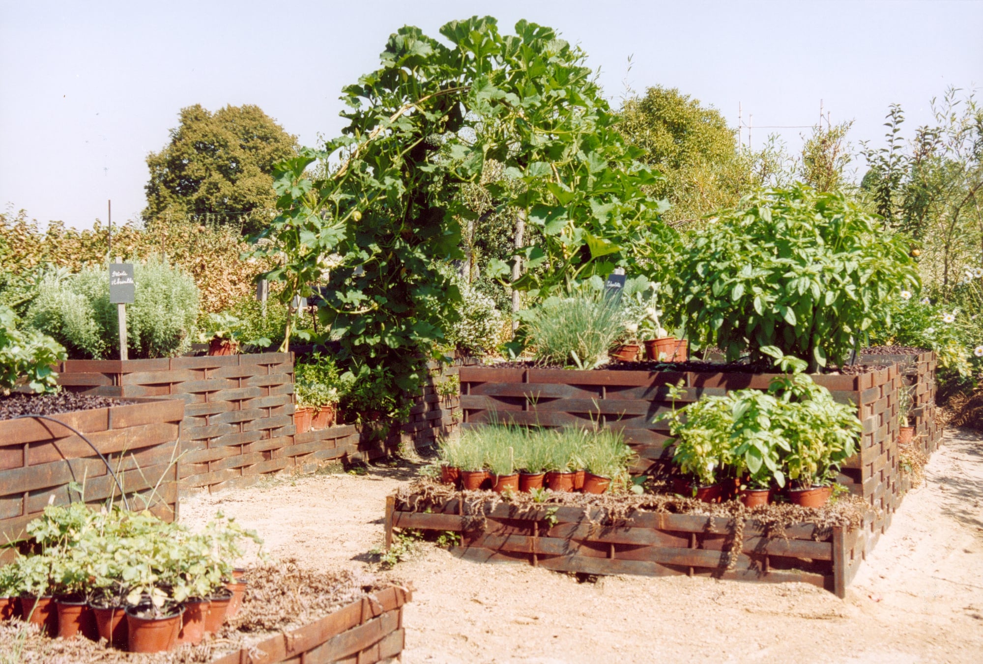 Potager du château de La Bussière, Loiret, France — jardins potagers en rangées soigneusement entretenues